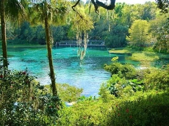 待售: $37,900 (0.99 acres)