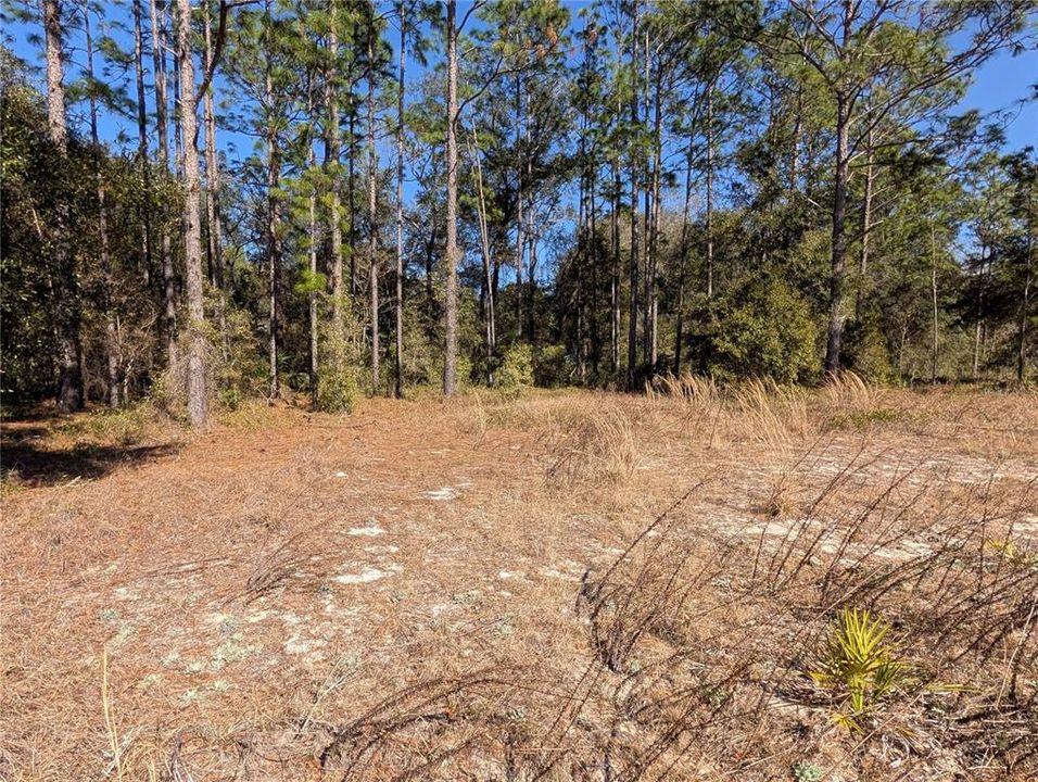 待售: $37,900 (0.99 acres)