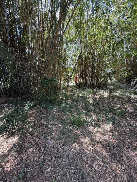 For Sale: $175,000 (0.22 acres)