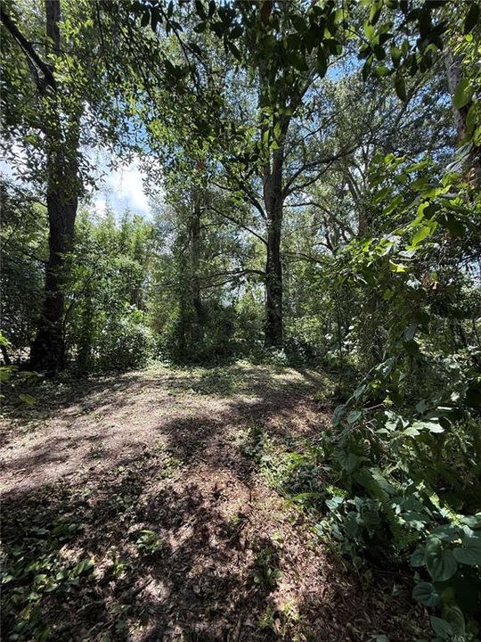 For Sale: $175,000 (0.22 acres)