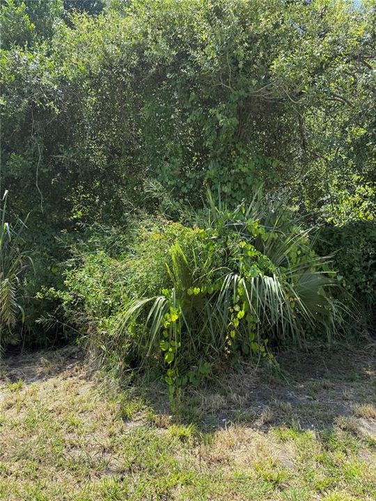 For Sale: $175,000 (0.22 acres)