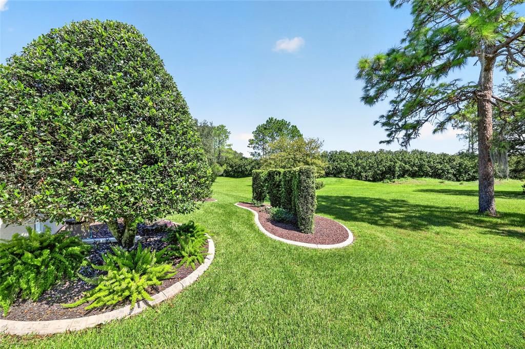 For Sale: $339,900 (2 beds, 2 baths, 1649 Square Feet)