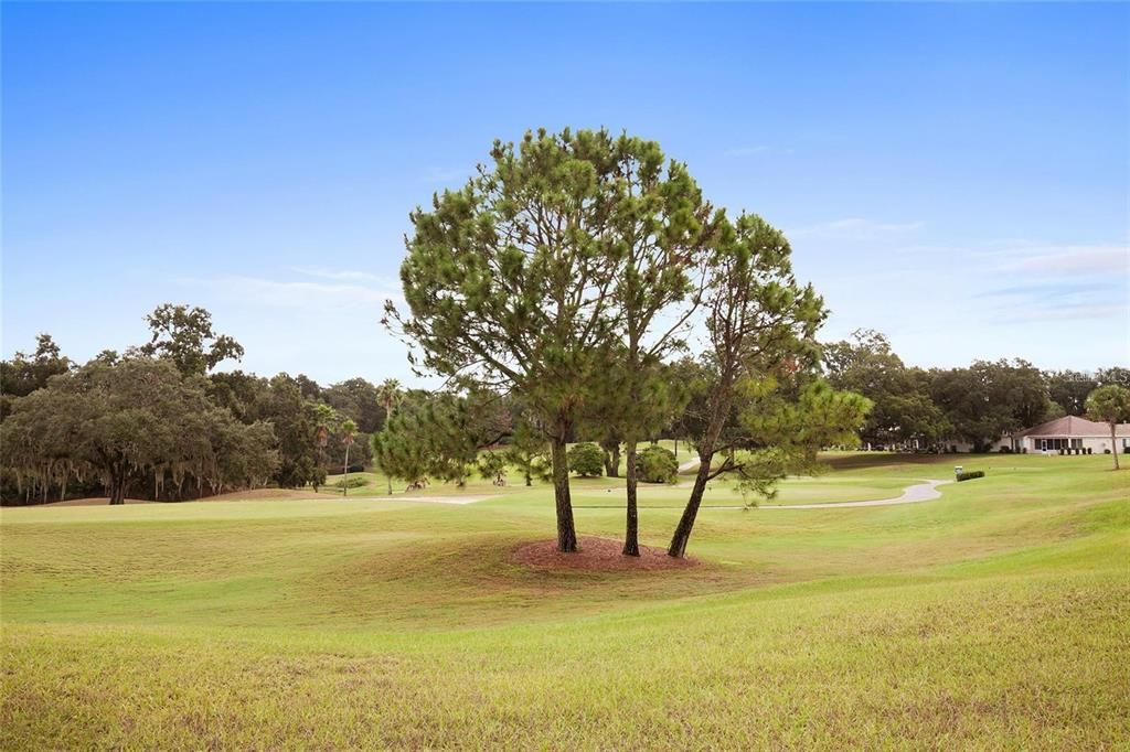For Sale: $339,900 (2 beds, 2 baths, 1649 Square Feet)