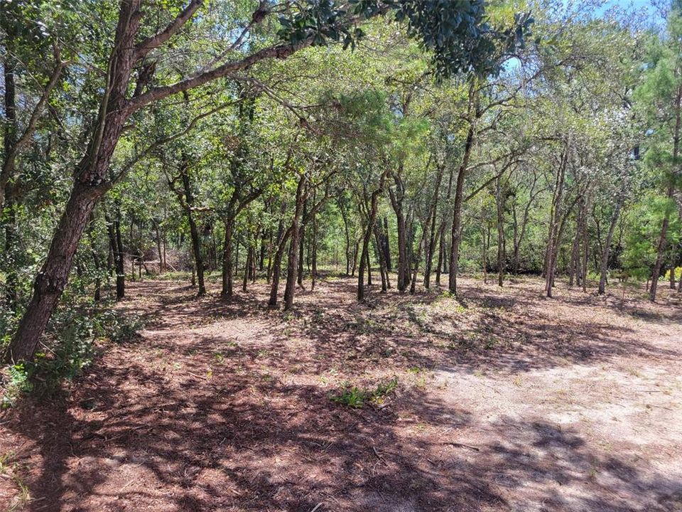 En Venta: $320,000 (4 camas, 2 baños, 2280 Pies cuadrados)