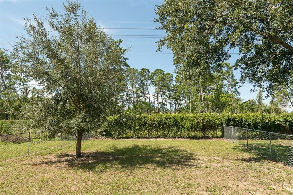 For Sale: $239,000 (3 beds, 2 baths, 1512 Square Feet)