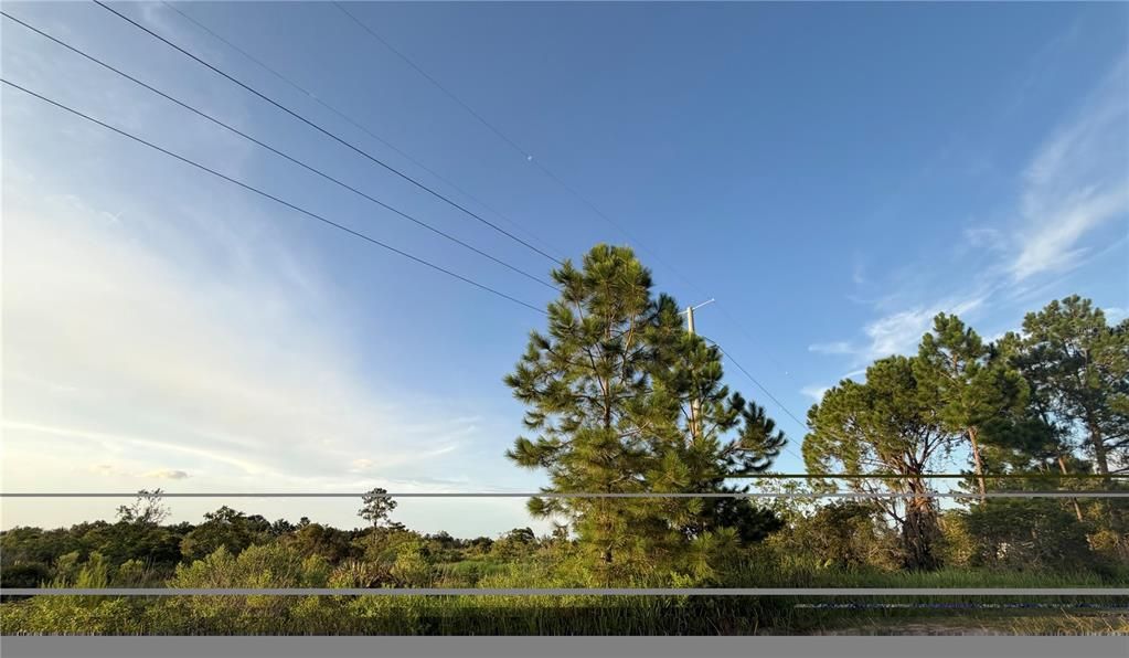 For Sale: $45,000 (1.16 acres)