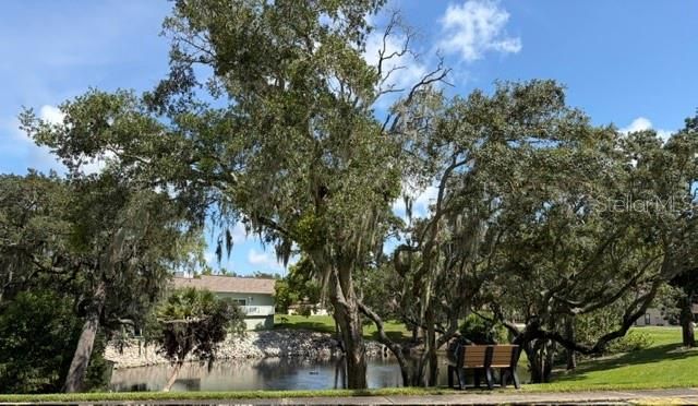 For Sale: $229,000 (2 beds, 2 baths, 1240 Square Feet)