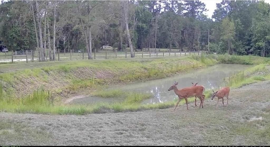 待售: $234,000 (6.34 acres)