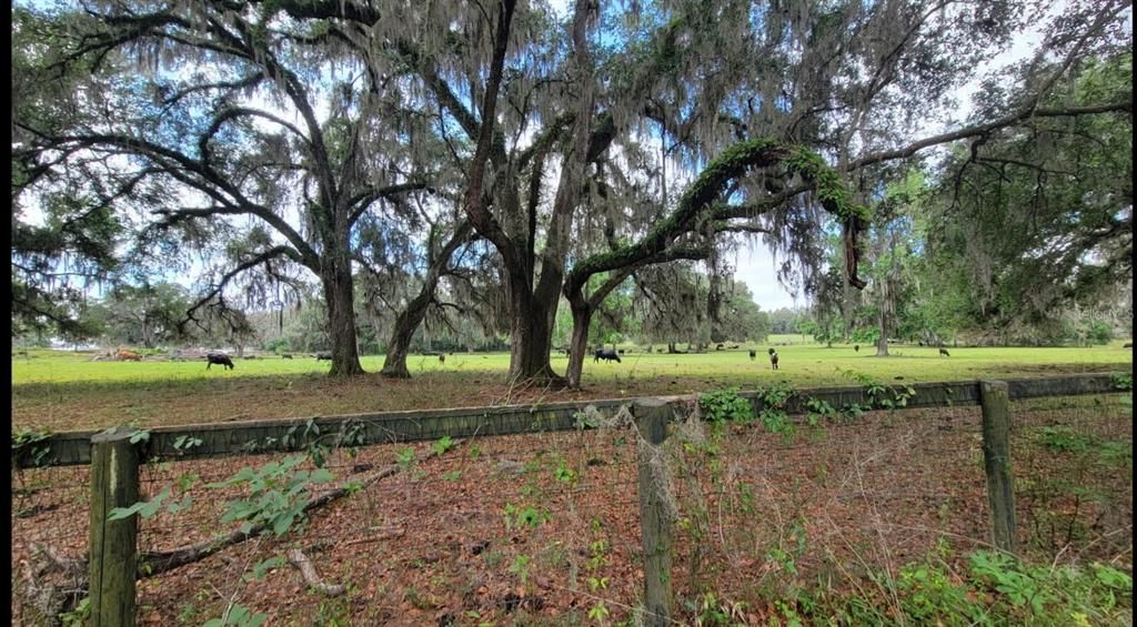 待售: $234,000 (6.34 acres)