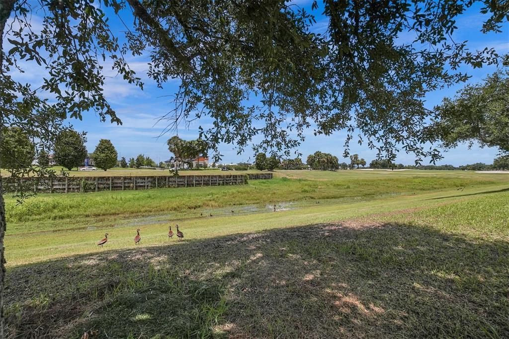 En Venta: $975,000 (3 camas, 2 baños, 2310 Pies cuadrados)