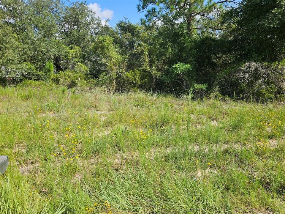 En Venta: $20,000 (0.49 acres)
