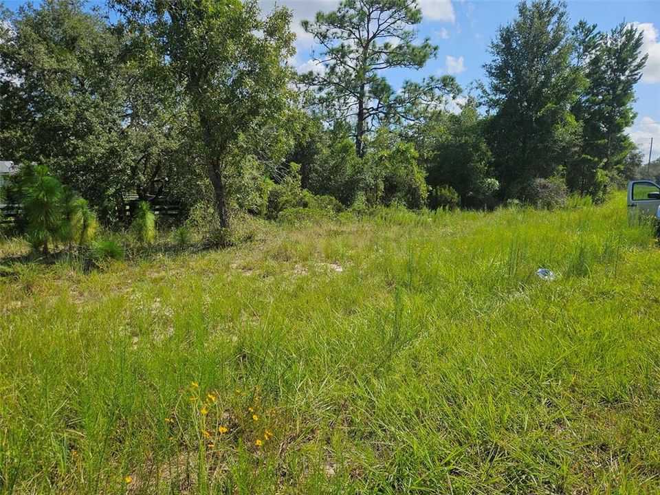 En Venta: $20,000 (0.49 acres)