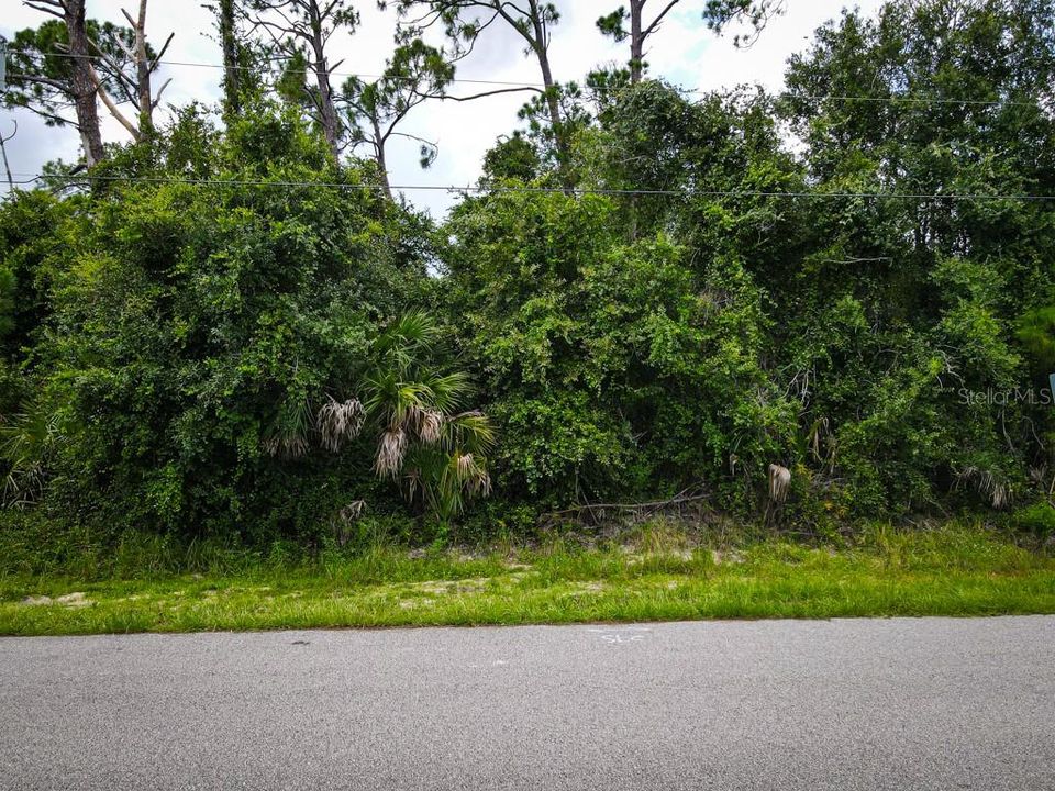 For Sale: $19,500 (0.23 acres)