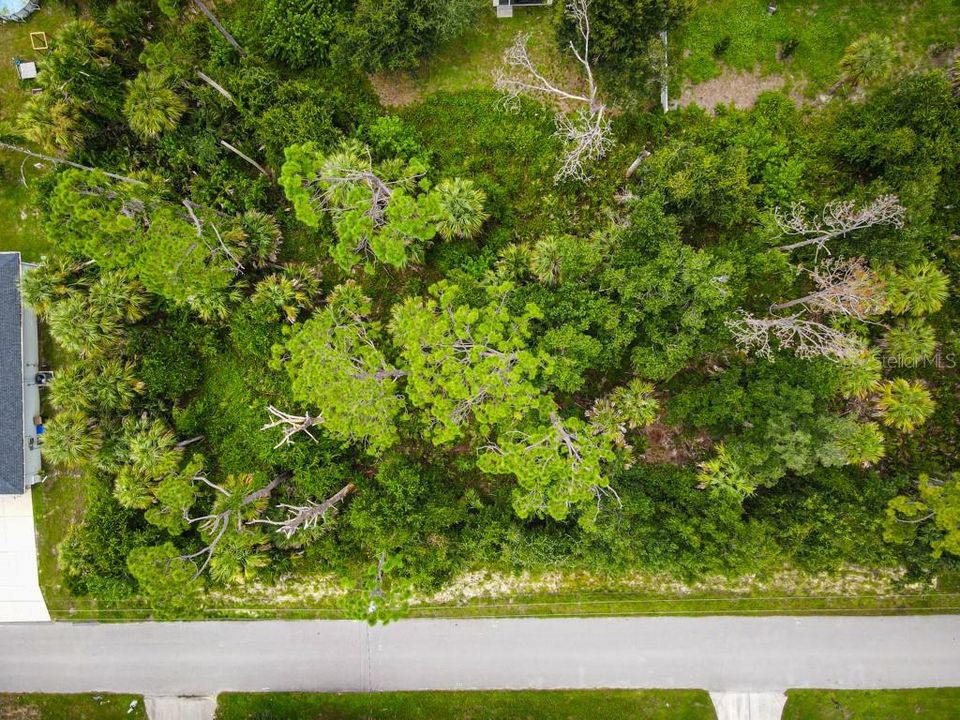 For Sale: $19,500 (0.23 acres)
