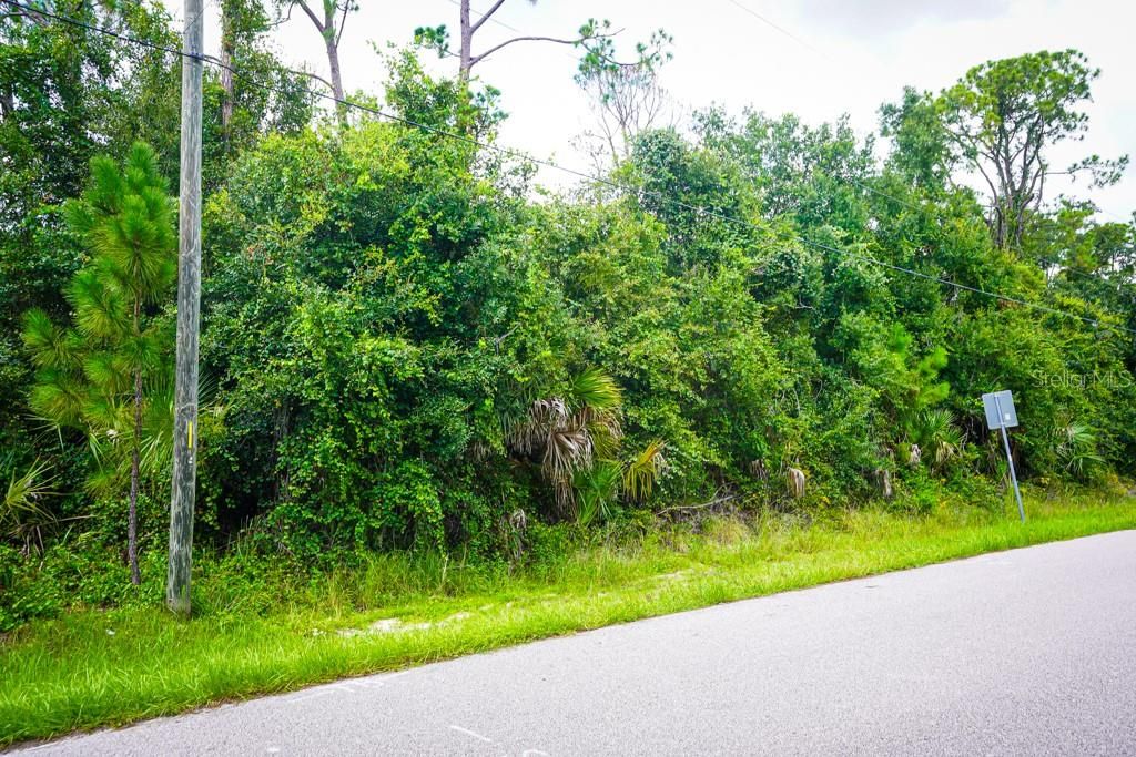 For Sale: $19,500 (0.23 acres)