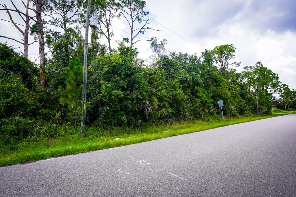 For Sale: $19,500 (0.23 acres)