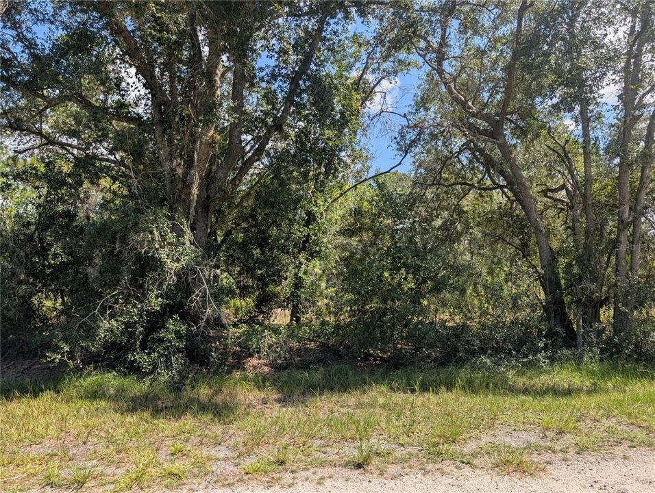 En Venta: $13,500 (0.55 acres)