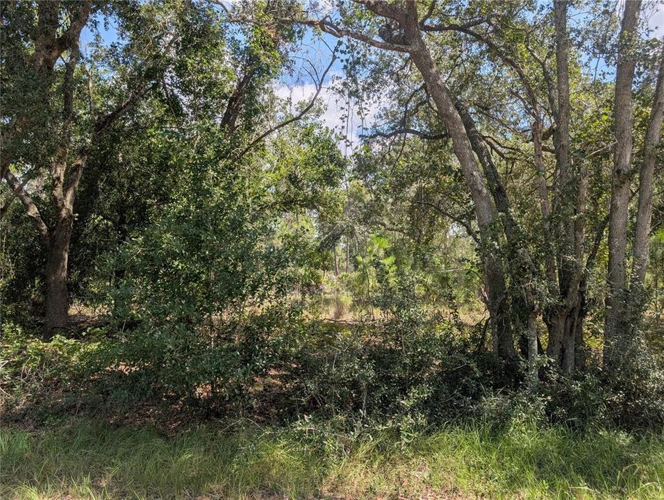 En Venta: $13,500 (0.55 acres)