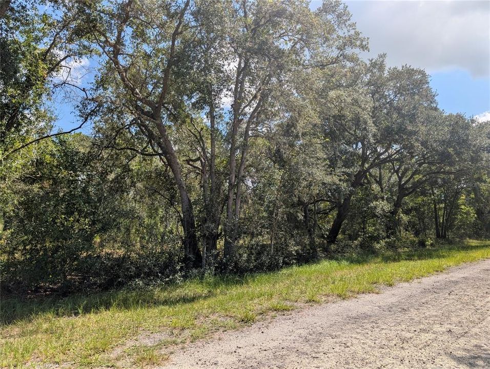 En Venta: $13,500 (0.55 acres)