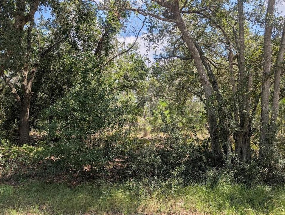 En Venta: $13,500 (0.55 acres)