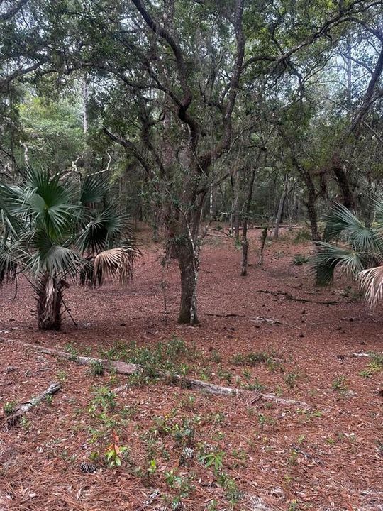 На продажу: $250,000 (10.50 acres)