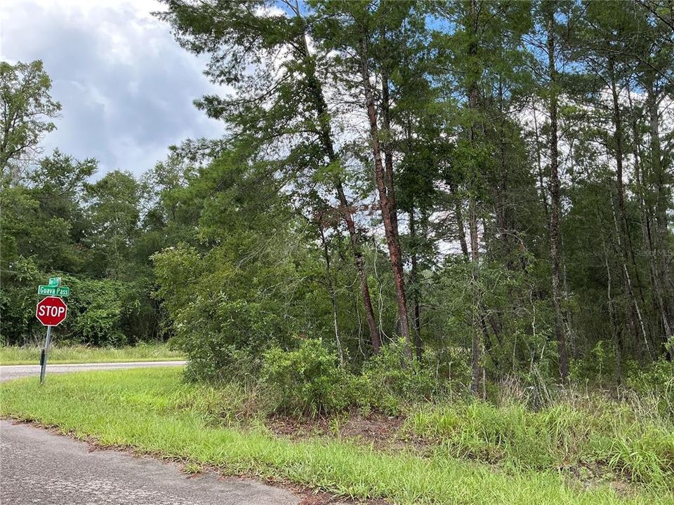 En Venta: $18,000 (0.24 acres)