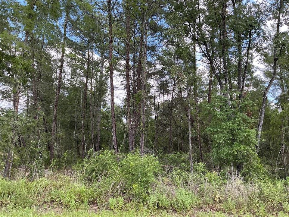 En Venta: $18,000 (0.24 acres)