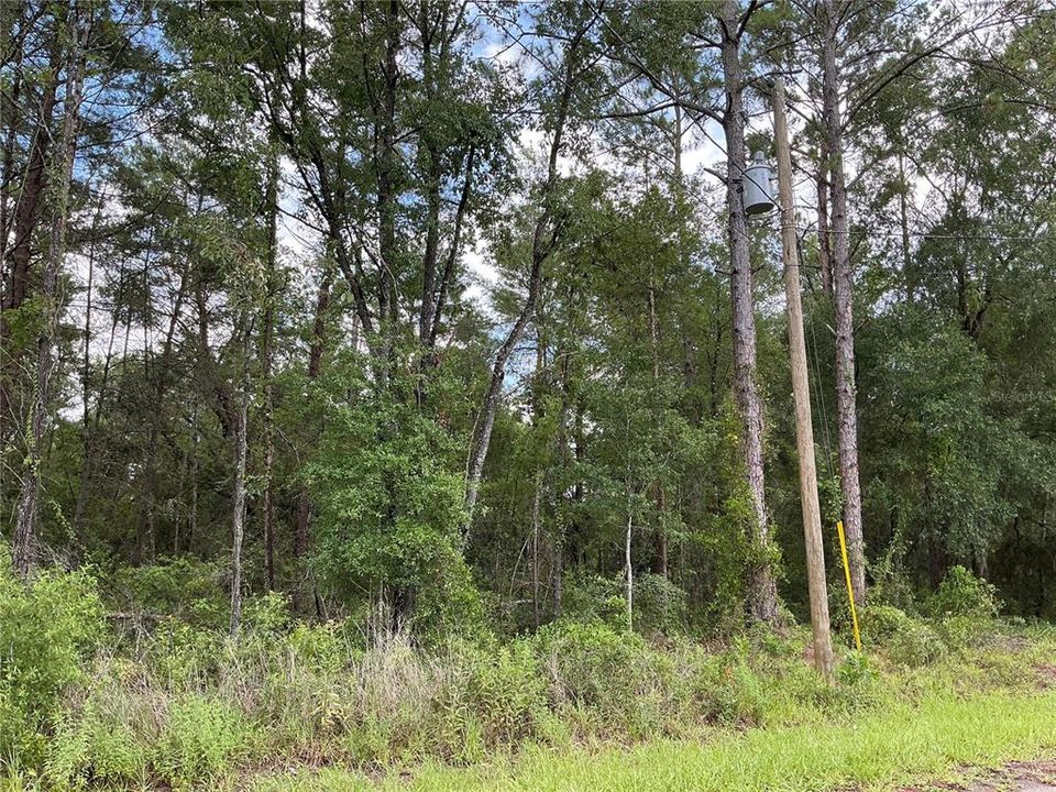 En Venta: $18,000 (0.24 acres)