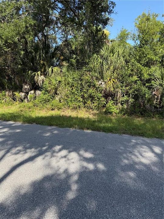 For Sale: $19,800 (0.24 acres)