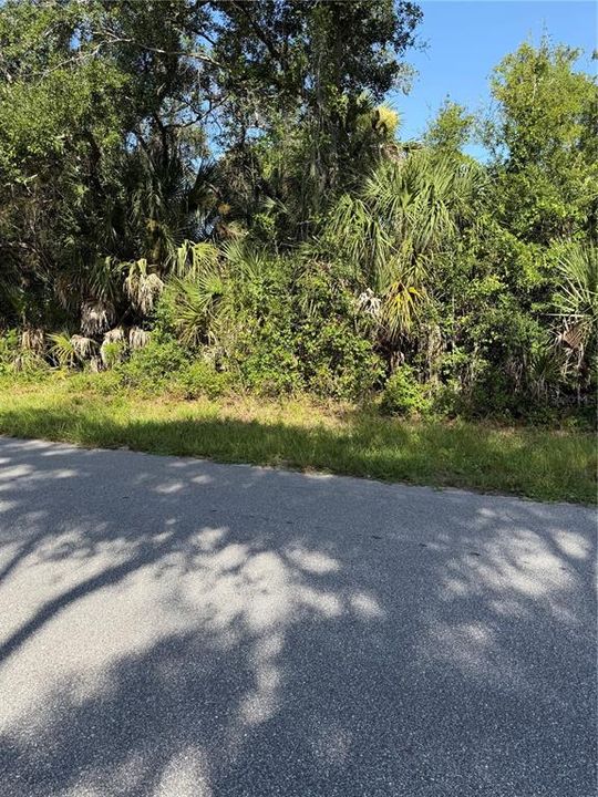 For Sale: $19,800 (0.24 acres)