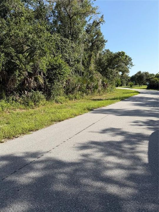 For Sale: $19,800 (0.24 acres)