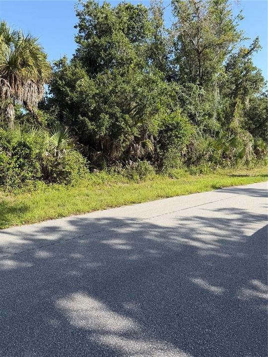 For Sale: $19,800 (0.24 acres)