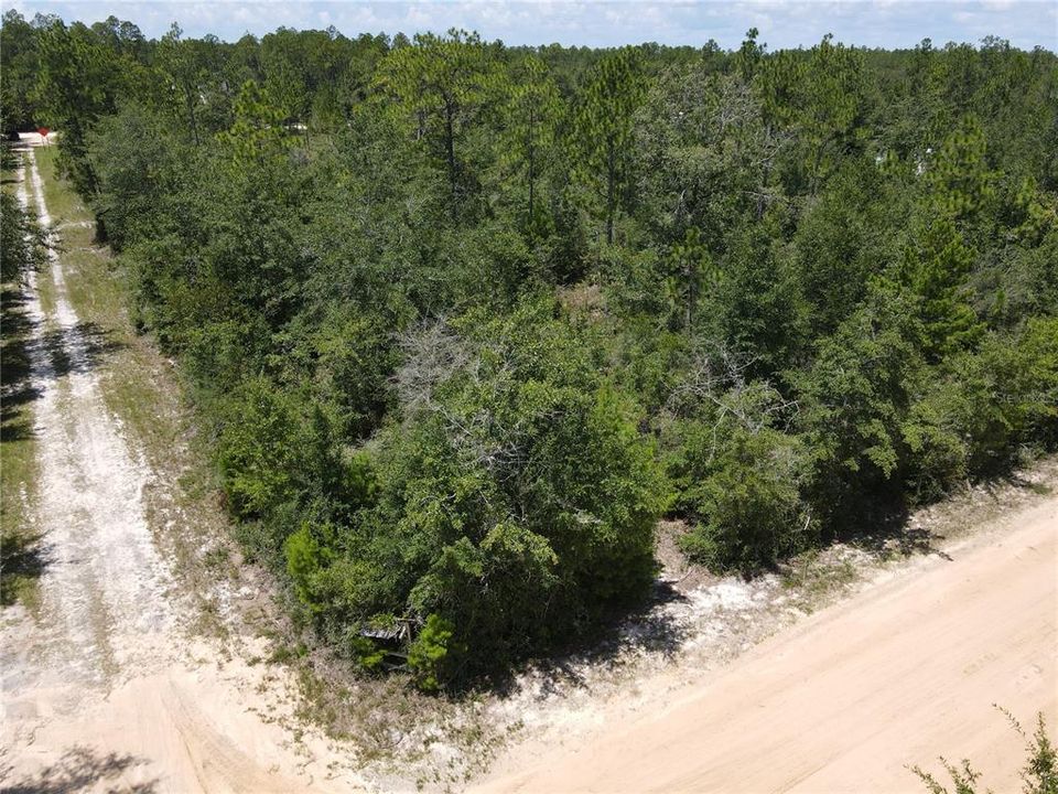 For Sale: $13,000 (1.33 acres)