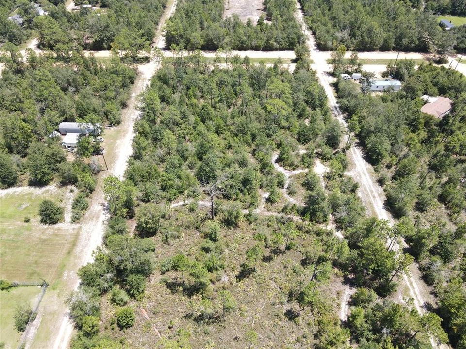 For Sale: $13,000 (1.33 acres)