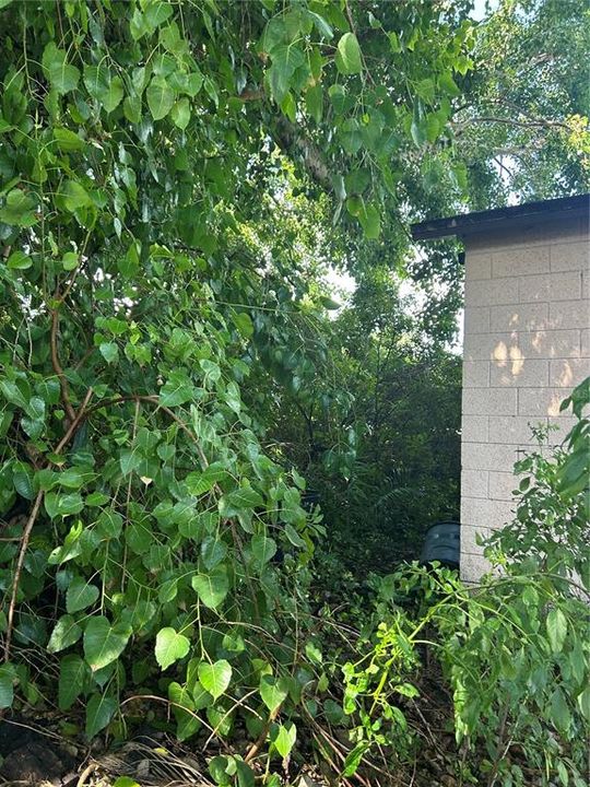 For Sale: $175,000 (3 beds, 1 baths, 1036 Square Feet)