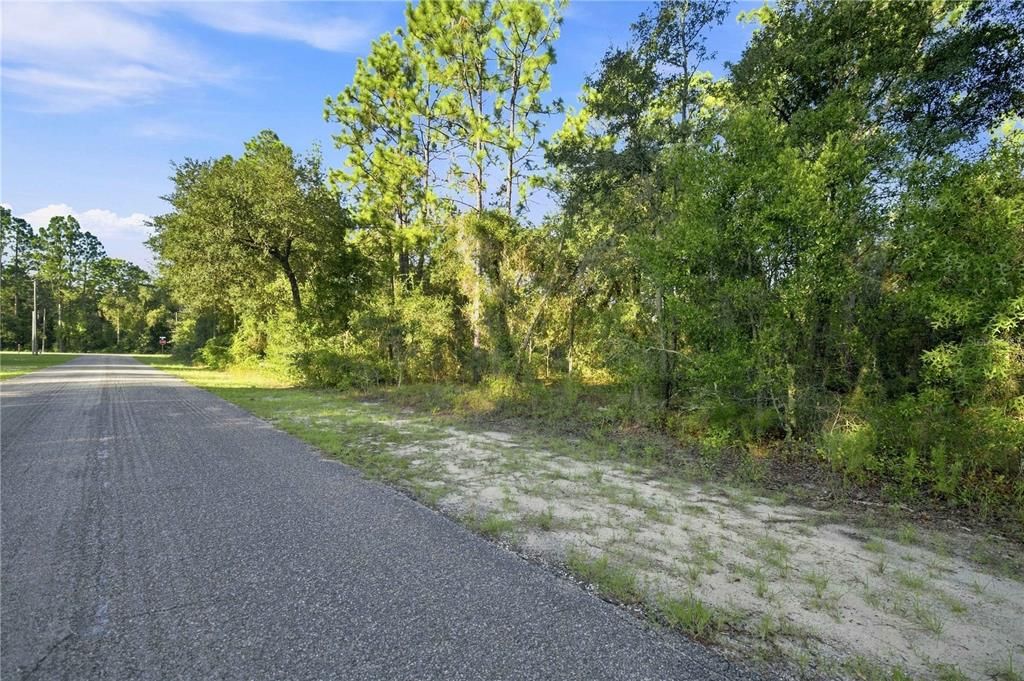 待售: $27,900 (1.00 acres)