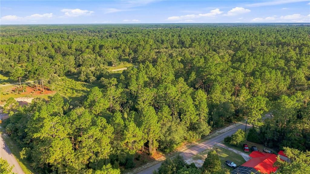 待售: $27,900 (1.00 acres)