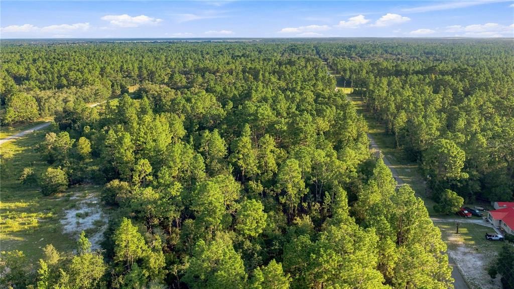 待售: $27,900 (1.00 acres)