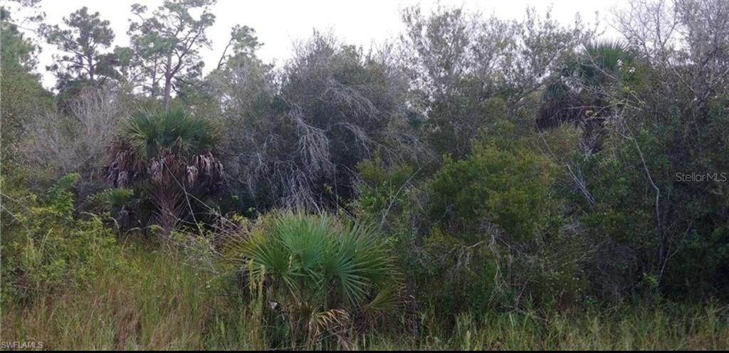 For Sale: $49,900 (1.14 acres)