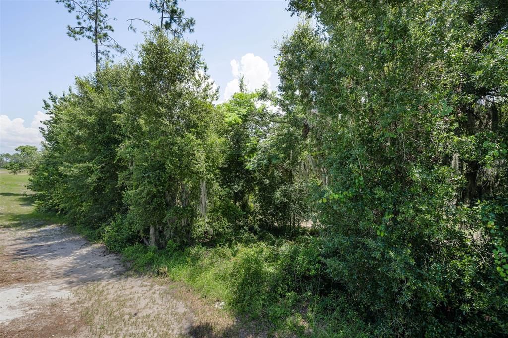 For Sale: $409,900 (4 beds, 2 baths, 2584 Square Feet)