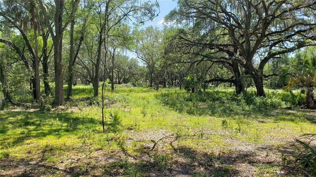 На продажу: $85,000 (0.16 acres)