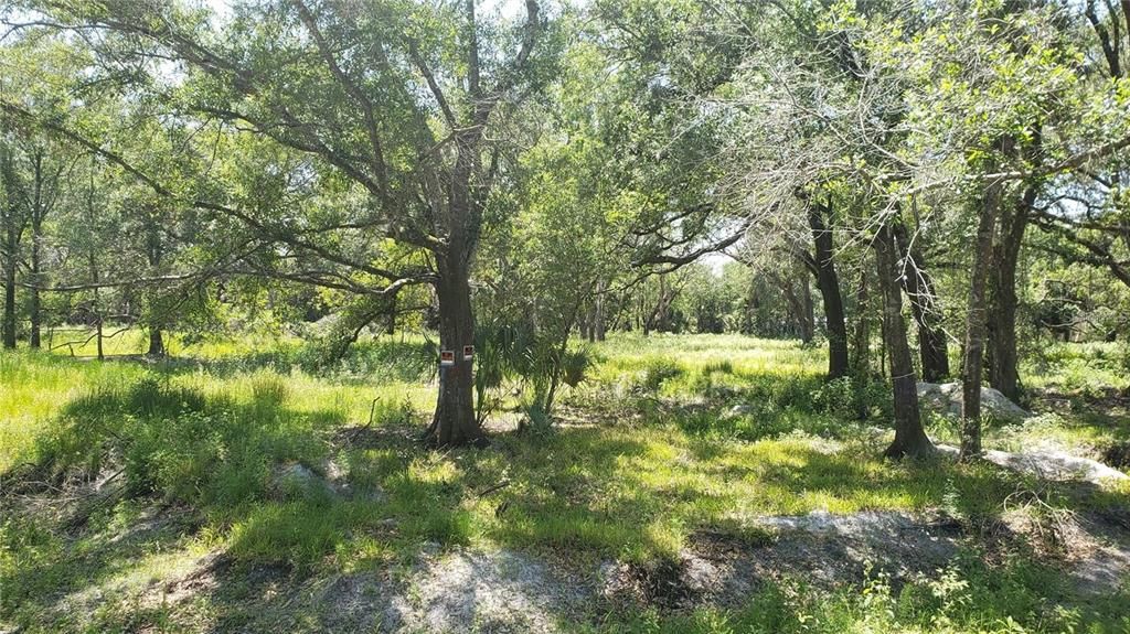 На продажу: $85,000 (0.16 acres)