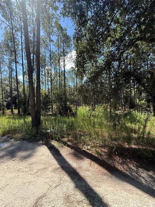 For Sale: $40,000 (1.25 acres)