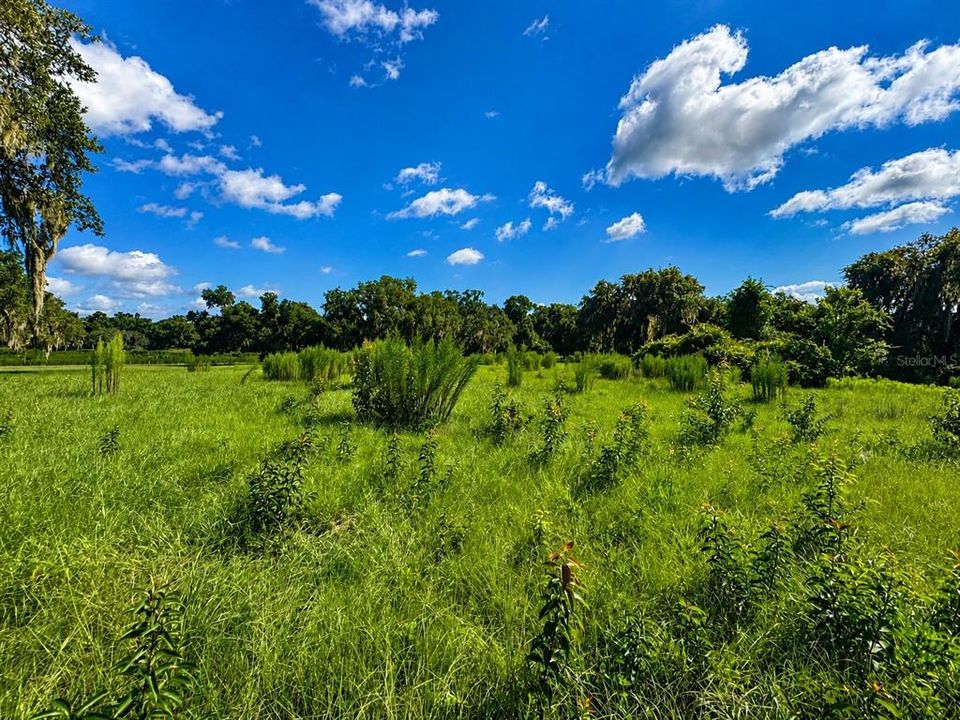 На продажу: $78,000 (2.60 acres)