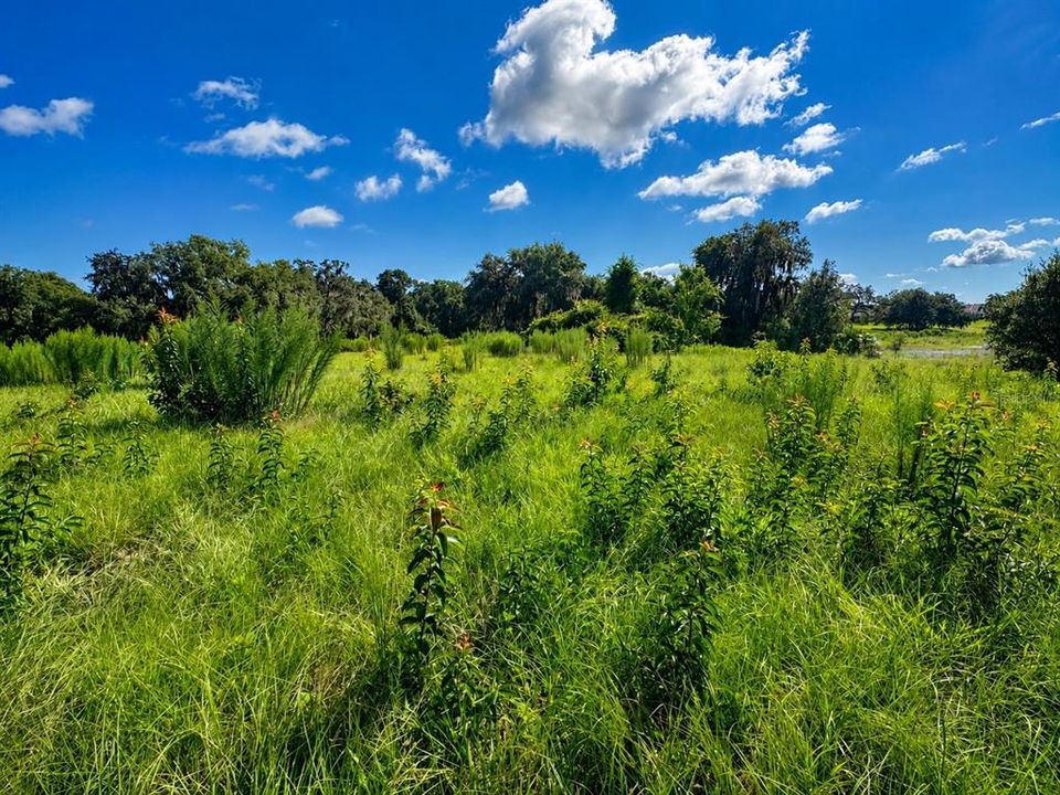 На продажу: $78,000 (2.60 acres)