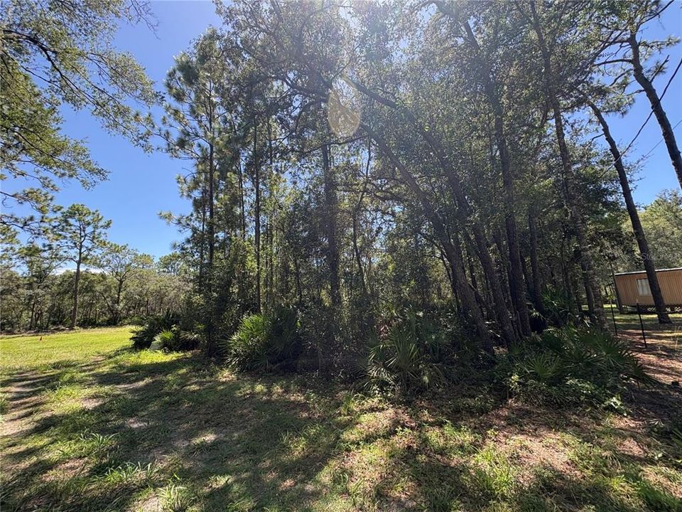 For Sale: $45,000 (1.02 acres)