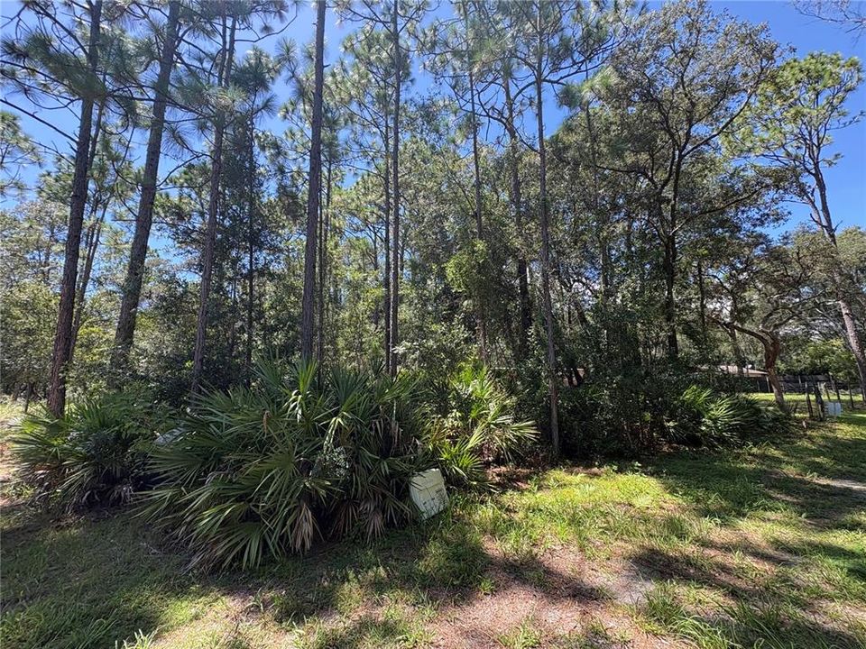 For Sale: $45,000 (1.02 acres)