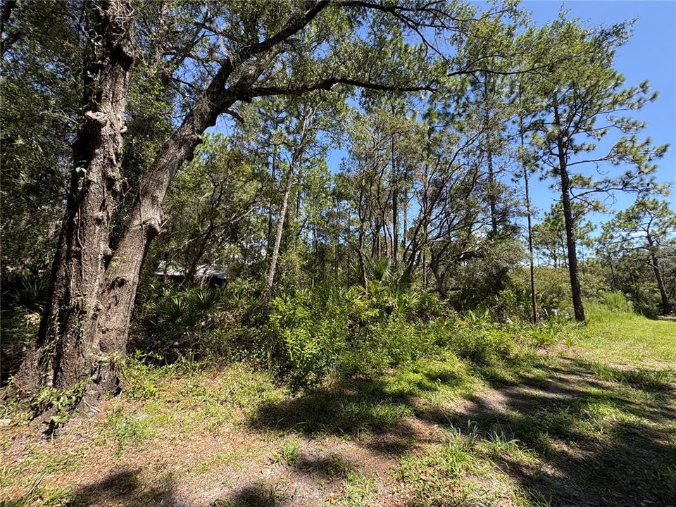 For Sale: $45,000 (1.02 acres)