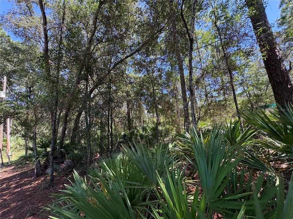 For Sale: $45,000 (1.02 acres)