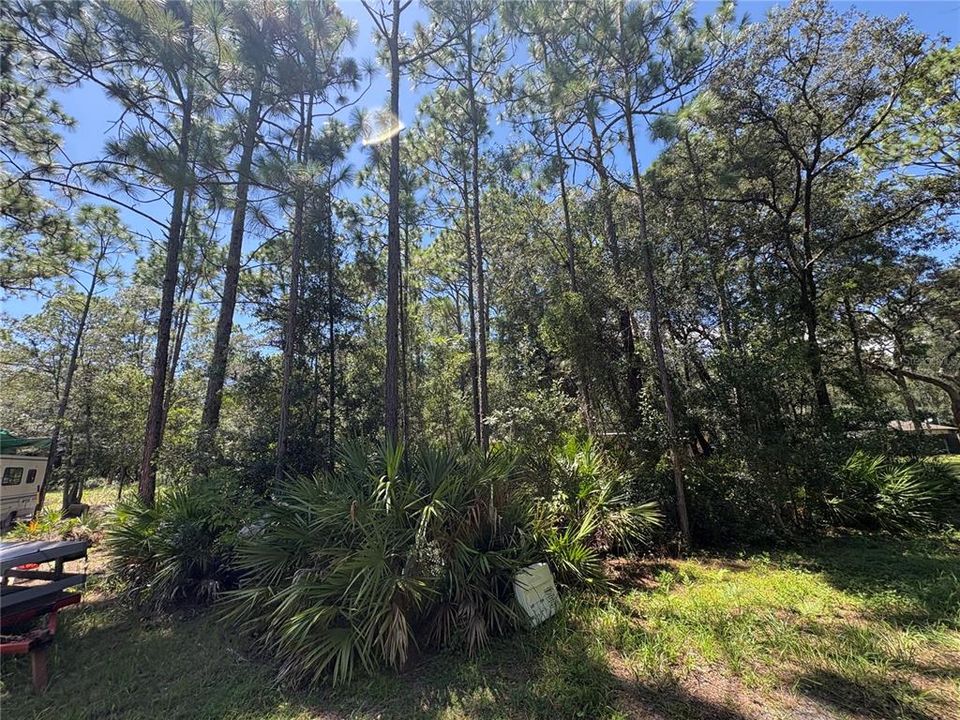 For Sale: $45,000 (1.02 acres)